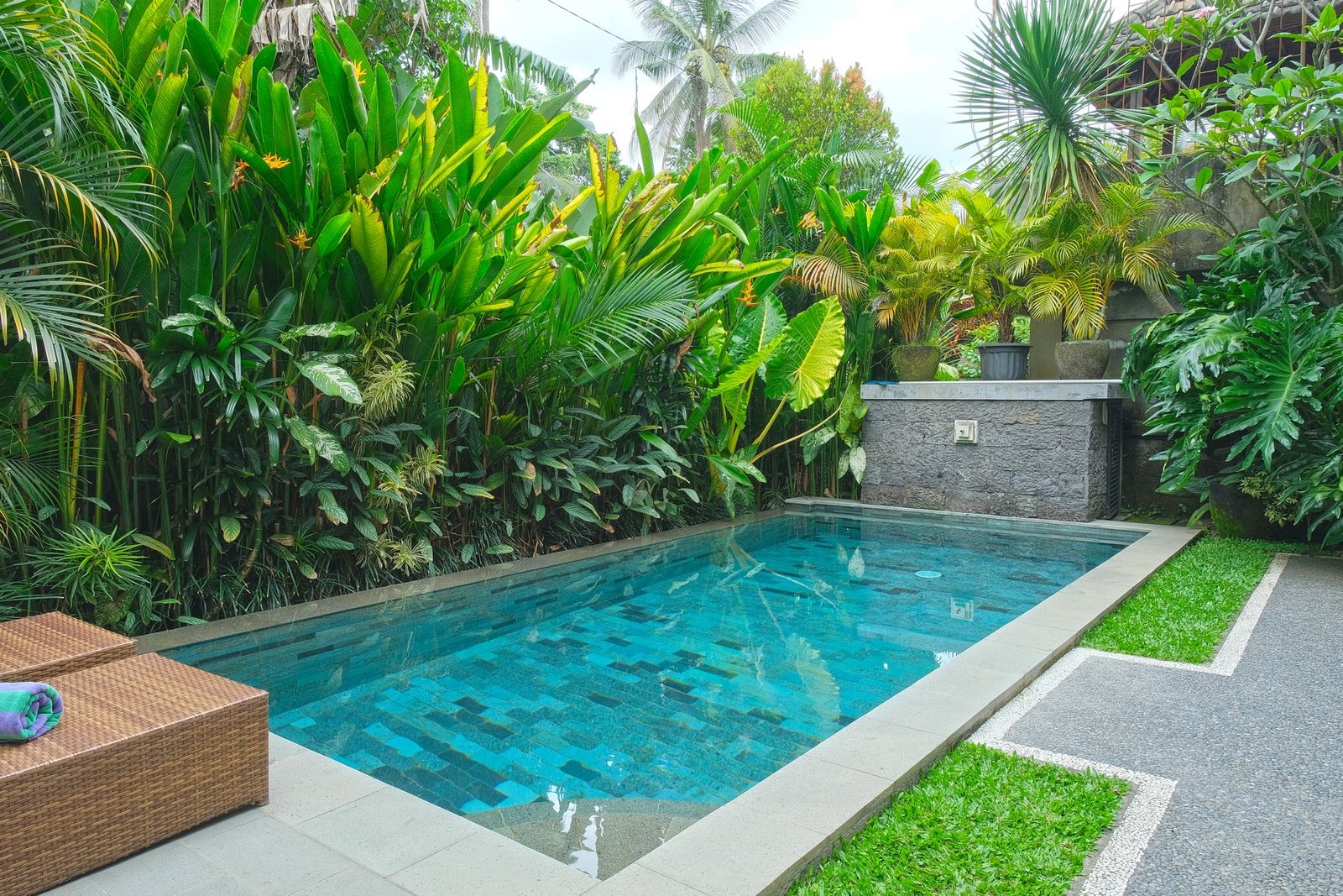 Cahyana House pool framed by tropical plants